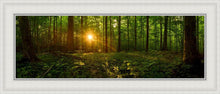 Load image into Gallery viewer, Sacred Morning
