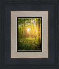 Load image into Gallery viewer, Sweet Hour of Prayer
