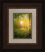 Load image into Gallery viewer, Sweet Hour of Prayer
