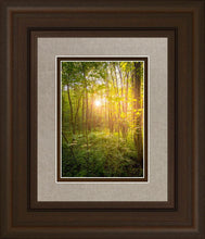 Load image into Gallery viewer, Sweet Hour of Prayer
