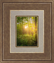 Load image into Gallery viewer, Sweet Hour of Prayer

