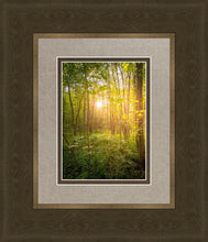 Load image into Gallery viewer, Sweet Hour of Prayer
