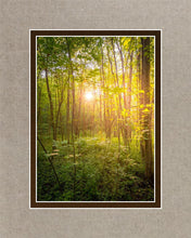 Load image into Gallery viewer, Sweet Hour of Prayer
