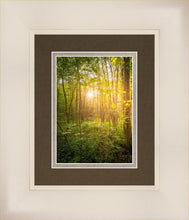 Load image into Gallery viewer, Sweet Hour of Prayer
