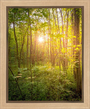 Load image into Gallery viewer, Sweet Hour of Prayer
