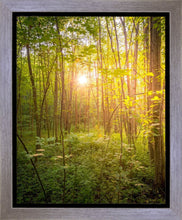 Load image into Gallery viewer, Sweet Hour of Prayer

