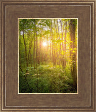 Load image into Gallery viewer, Sweet Hour of Prayer
