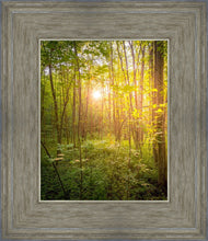 Load image into Gallery viewer, Sweet Hour of Prayer

