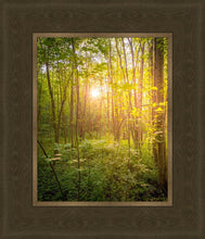Load image into Gallery viewer, Sweet Hour of Prayer
