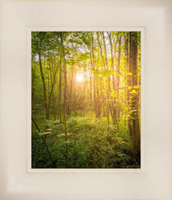 Load image into Gallery viewer, Sweet Hour of Prayer
