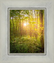 Load image into Gallery viewer, Sweet Hour of Prayer
