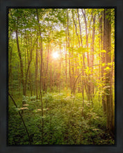 Load image into Gallery viewer, Sweet Hour of Prayer
