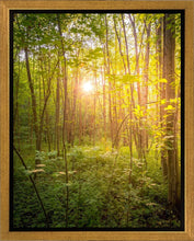 Load image into Gallery viewer, Sweet Hour of Prayer
