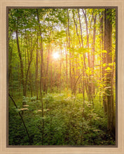 Load image into Gallery viewer, Sweet Hour of Prayer
