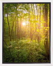Load image into Gallery viewer, Sweet Hour of Prayer
