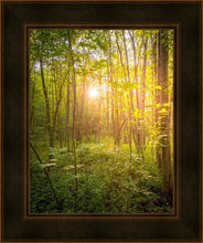 Load image into Gallery viewer, Sweet Hour of Prayer
