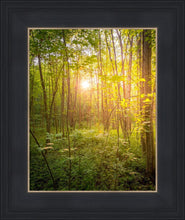 Load image into Gallery viewer, Sweet Hour of Prayer
