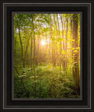 Load image into Gallery viewer, Sweet Hour of Prayer
