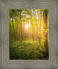 Load image into Gallery viewer, Sweet Hour of Prayer
