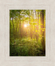 Load image into Gallery viewer, Sweet Hour of Prayer
