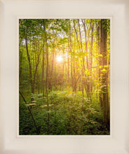 Load image into Gallery viewer, Sweet Hour of Prayer
