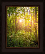 Load image into Gallery viewer, Sweet Hour of Prayer
