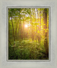 Load image into Gallery viewer, Sweet Hour of Prayer
