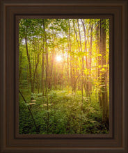 Load image into Gallery viewer, Sweet Hour of Prayer
