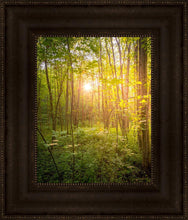 Load image into Gallery viewer, Sweet Hour of Prayer

