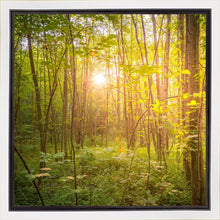 Load image into Gallery viewer, Sweet Hour of Prayer
