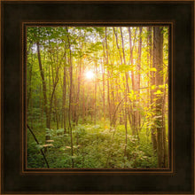 Load image into Gallery viewer, Sweet Hour of Prayer
