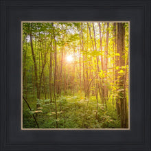 Load image into Gallery viewer, Sweet Hour of Prayer
