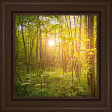Load image into Gallery viewer, Sweet Hour of Prayer

