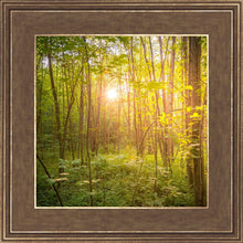 Load image into Gallery viewer, Sweet Hour of Prayer
