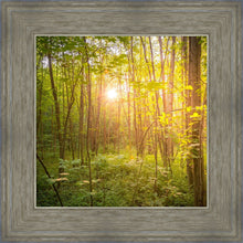 Load image into Gallery viewer, Sweet Hour of Prayer
