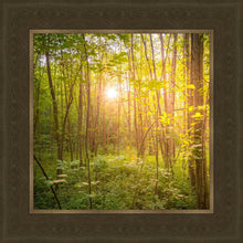 Load image into Gallery viewer, Sweet Hour of Prayer
