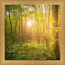 Load image into Gallery viewer, Sweet Hour of Prayer
