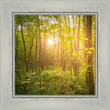 Load image into Gallery viewer, Sweet Hour of Prayer
