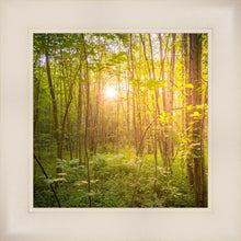 Load image into Gallery viewer, Sweet Hour of Prayer
