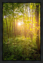 Load image into Gallery viewer, Sweet Hour of Prayer
