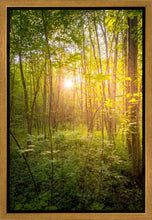 Load image into Gallery viewer, Sweet Hour of Prayer
