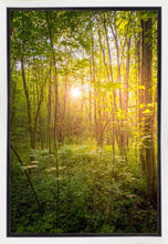 Load image into Gallery viewer, Sweet Hour of Prayer
