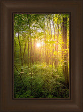 Load image into Gallery viewer, Sweet Hour of Prayer
