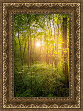 Load image into Gallery viewer, Sweet Hour of Prayer
