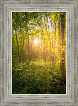 Load image into Gallery viewer, Sweet Hour of Prayer
