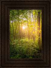 Load image into Gallery viewer, Sweet Hour of Prayer
