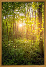 Load image into Gallery viewer, Sweet Hour of Prayer
