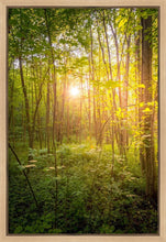 Load image into Gallery viewer, Sweet Hour of Prayer
