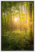 Load image into Gallery viewer, Sweet Hour of Prayer
