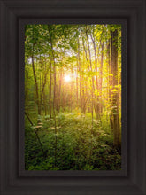 Load image into Gallery viewer, Sweet Hour of Prayer
